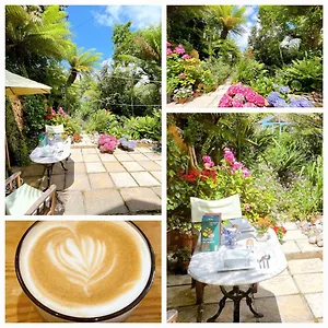  Bed & Breakfast Funky Urban Jungle United Kingdom